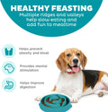 Outward Hound Fun Feeder Slo Bowl – Medium 2‑Cup Capacity, Slow Feeding, Small to Medium Dogs & Cats, Non-Slip, Turquoise, Drop Pattern Turquoise