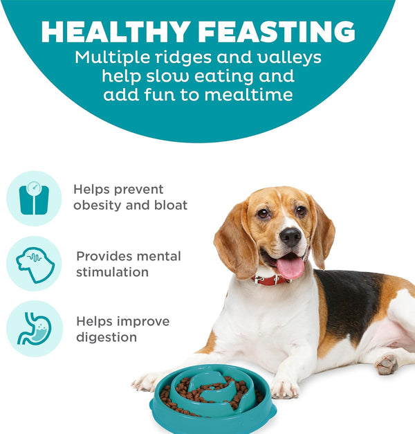 Outward Hound Fun Feeder Slo Bowl – Medium 2‑Cup Capacity, Slow Feeding, Small to Medium Dogs & Cats, Non-Slip, Turquoise, Drop Pattern Turquoise