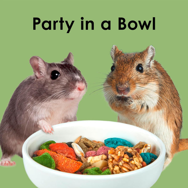 Kaytee Fiesta Hamster & Gerbil Food, Nutritious and Fun Blend, Supports Dental Health and Digestion, 2.5 pounds 2.5 Pound (Pack of 1)