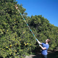 8FT Fruit Picker, Fruit Picker Tool with Basket & Adjustable Stainless Steel Handle, Lightweight Fruit Grabber for Apple Mango Avocado Orange