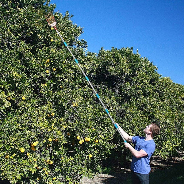 8FT Fruit Picker, Fruit Picker Tool with Basket & Adjustable Stainless Steel Handle, Lightweight Fruit Grabber for Apple Mango Avocado Orange