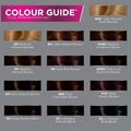 John Frieda Precision Foam Colour Medium Natural Blonde 8N, 1 Application Medium Natural Blonde 8N 1 Count (Pack of 1)