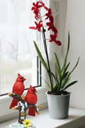 BANBERRY DESIGNS Red Cardinal Bird Figurines on Snowy Branches, Winter Berry Christmas Decor, Holiday Cardinal Statues, Rustic Seasonal Tabletop