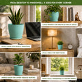 Plant Pots Indoor with Drainage, 5 Pack Multi-Size Planters Set, Aqua Pack of 5 Aqua