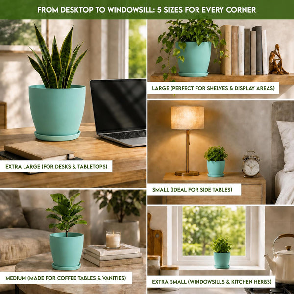 Plant Pots Indoor with Drainage, 5 Pack Multi-Size Planters Set, Aqua Pack of 5 Aqua