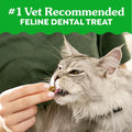 Greenies Feline Natural Dental Cat Treats, Tempting Tuna Flavor, 9.75 oz | veterinarian-recommended, 36% less tartar in 28 days, cleans to