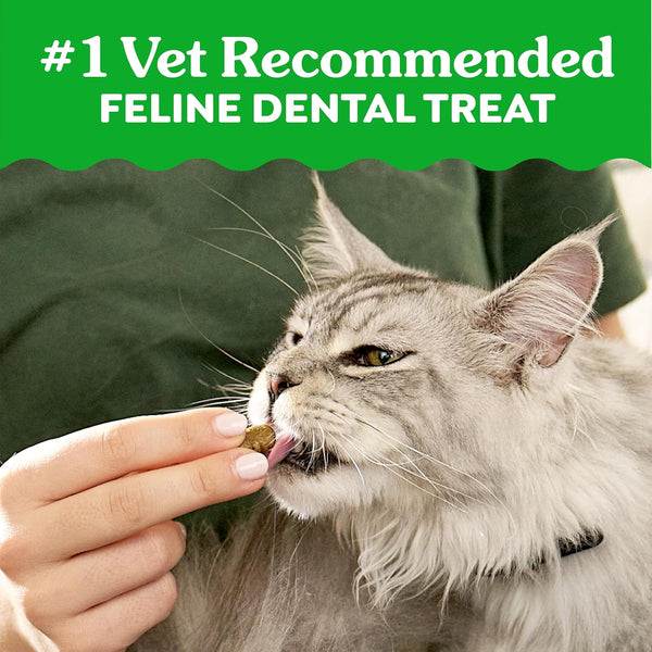 Greenies Feline Natural Dental Cat Treats, Tempting Tuna Flavor, 9.75 oz | veterinarian-recommended, 36% less tartar in 28 days, cleans to