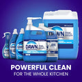 Dawn PRO Manual Pot and Pan Detergent, Dish Soap Liquid for Dishwashing by Hand, Bulk Concentrate for Commercial Use, 5 gal 640 Fl Oz (Pack of 1)