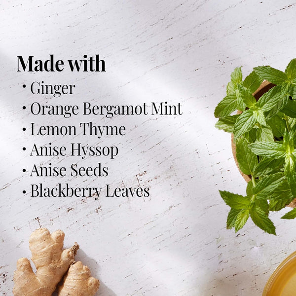 The Republic of Tea - Orange Ginger Mint Herbal Tea, 36 Tea Bag, Tin | Caffeine-free 36 Count (Pack of 1)
