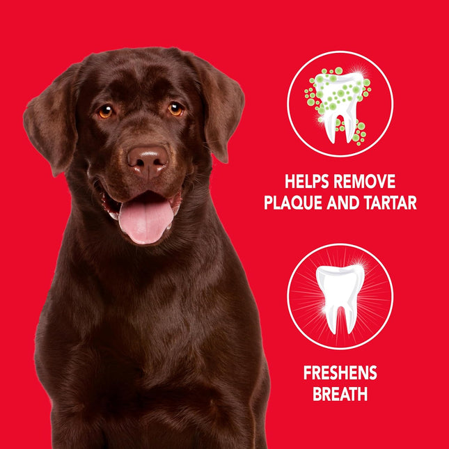 Petrodex Toothpaste for Dogs and Puppies, Cleans Teeth and Fights Bad Breath, Re