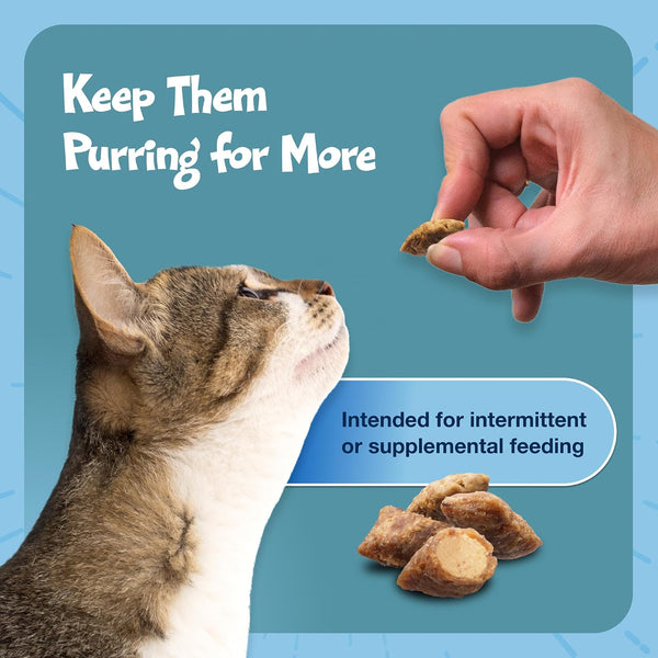 Blue Buffalo Bursts Crunchy & Creamy Cat Treats, Great for Training, Savory Seafood, 5-oz Bag Seafood 5 Ounce (Pack of 1)