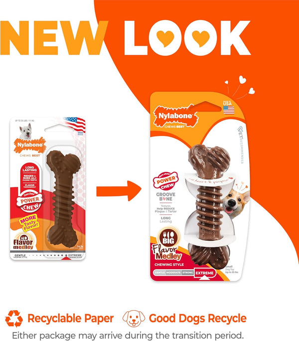 Nylabone Power Chew Dental Groove Bone Dog Chew Toy, Flavor Medley, Small Small Brown