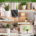 Plant Pots Indoor with Drainage, 5 Pack Multi-Size Planters Set, White Pack of 5 White