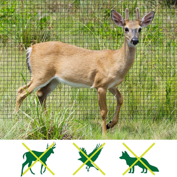 Feitore Deer Fence Netting, 7 x 100 Feet Anti Bird Deer Protection Net Reusable Protective Garden Netting for Plants Fruit Trees Vegetables