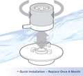 Aqueon Betta Filters Cartridges, 2PK