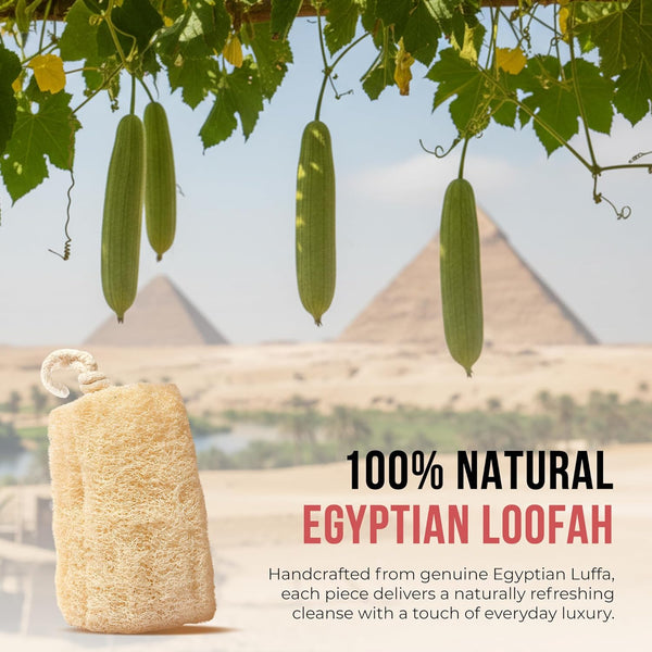SERRENTO Loofah Body Scrubber Shower - Egyptian Luffa Sponge Pack of 3 Tan 1 Count (Pack of 3)