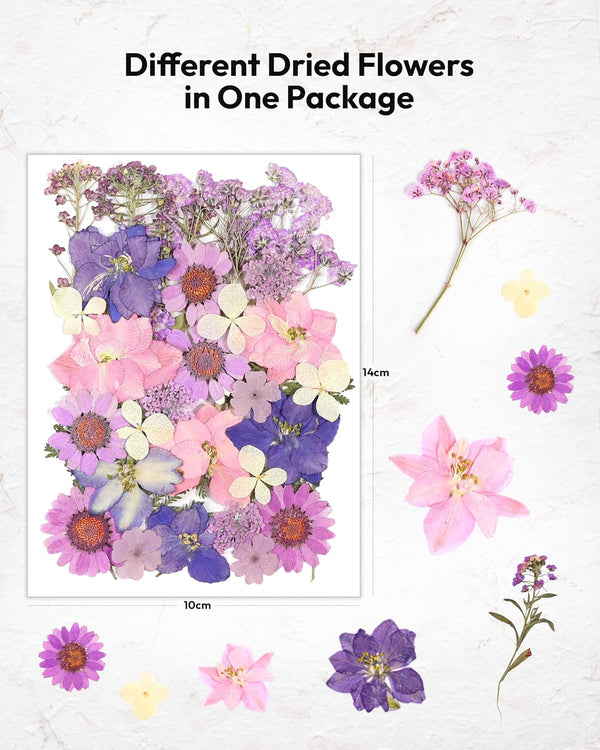 Dried Flowers, Resiners 58Pcs Pressed Flowers for Craft Purple Real Natural Dried Flowers Dry Leaves Kit for DIY Making Crafts Resin Soap Candle