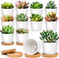 T4U 2.5 Inch Small White Succulent Planter Pots with Bamboo Tray round Set of 12, Ceramic Succulent Air Plant Flower Pots Cactus Faux Plants