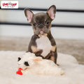 Multipet Lamb Chop Dog Plush Toy - Squeaky Toy for All Dogs - Extra Soft Plush - Stuffed Animal Dog Toy for Cuddling & Playing - Cute Pet Toy (6",