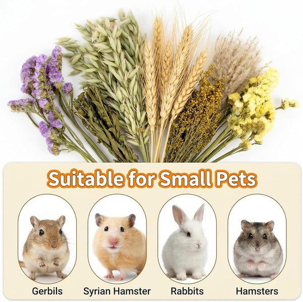 Sukh Herb Bedding Habitat Decor - Natural Flower Hamster Mate Herbs Sprays Cage Safe Pet Accessories Decorations Hideout for Hamsters Mouse Guinea