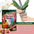 Better-Gro Special Orchid Mix - Premium Grade Orchid Bark Potting Mix for Potting, Repotting, Enhanced Drainage, Air Flow & Root Ventilation,