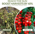 Garden Netting for Climbing Plants,Ponwec 2-Pack 6'X16.5'Ft Garden Trellis Netting 4X4 Weatherproof Plant Netting for Cucumbers,Beans