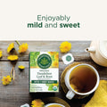 Traditional Medicinals Organic, Dandelion Leaf & Root - Dandelion Root Tea, Supports Normal Detox + Digestion - Kosher, Non-GMO, Caffeine-Free,