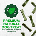 Greenies Original Petite Natural Dental Care Dog Treats, 6 Oz. Pouch (10 Treats)