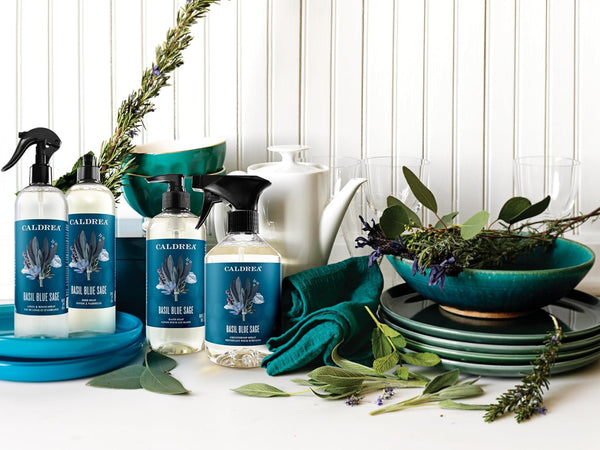 Caldrea Multi-surface CounterTop Spray Cleaner, Made With Vegetable Protein Extract, Basil Blue Sage, 16 Fl Oz Basil Blue Sage 16 Fl Oz (Pack of 1)