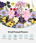 Dried Flowers, Resiners 58Pcs Pressed Flowers for Craft Purple Real Natural Dried Flowers Dry Leaves Kit for DIY Making Crafts Resin Soap Candle