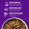 Wellness Complete Health Puppy Dry Dog Food, Small Breed, Wholesome Grains, Natural, Chicken, Oatmeal, & Salmon Recipe, (4-Pound Bag)
