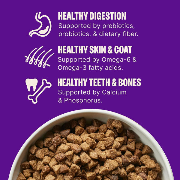 Wellness Complete Health Puppy Dry Dog Food, Small Breed, Wholesome Grains, Natural, Chicken, Oatmeal, & Salmon Recipe, (4-Pound Bag)