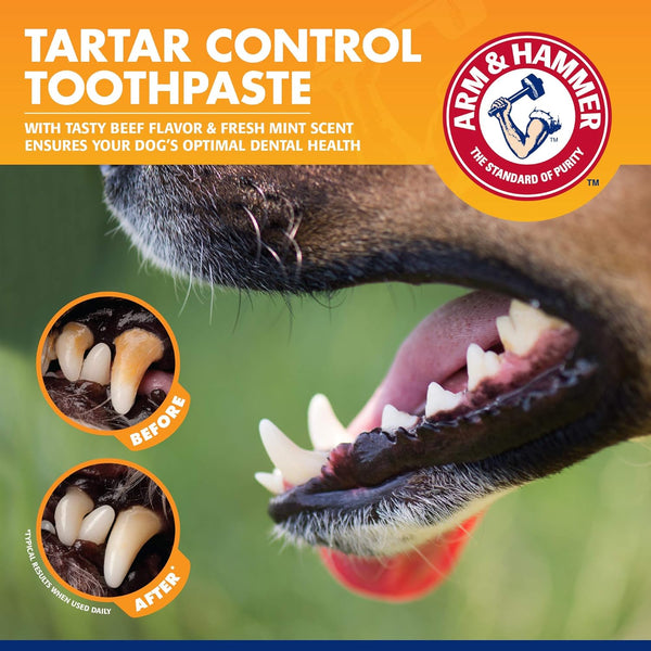 Arm & Hammer for Pets Tartar Control Dog Dental Kit, Enzymatic Toothpaste with Toothbrush and Fingerbrush, Baking Soda Formula Reduces Plaque and