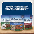 Blue Buffalo Nudges Chicken Jerky Bites Natural Dog Treats, Tender & Meaty Dog Snacks, Healthy Reward or Training Treat, Made in the USA with Real