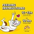 Temptations Classic Crunchy Cat Treats, Shrimpy Shrimp, 6.3 oz Shrimp 3.94 Pound (Pack of 1)