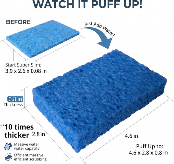36 Pk Pop-Up Compressed Cellulose Sponges | Eco-friendly, reusable & durable for kitchen & home