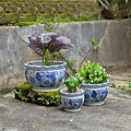 HakkaGirl Blue and White Planters, Succulent Pots Ceramic Plant Pots Indoor with Drainage for Home Décor - Set of 3 Blue and White - Art Decor Set