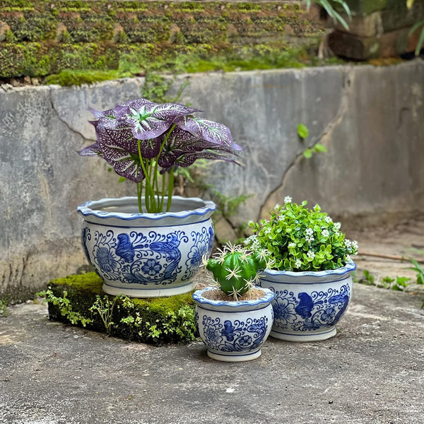 HakkaGirl Blue and White Planters, Succulent Pots Ceramic Plant Pots Indoor with Drainage for Home Décor - Set of 3 Blue and White - Art Decor Set