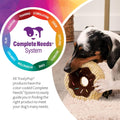 TrustyPup Tough 'N Fun Donut Squeaky Plush Dog Toy, Chew Guard Technology - Tan, Small (71148) Tough 'N Fun Small Tough 'N Fun - Donut (Tan)