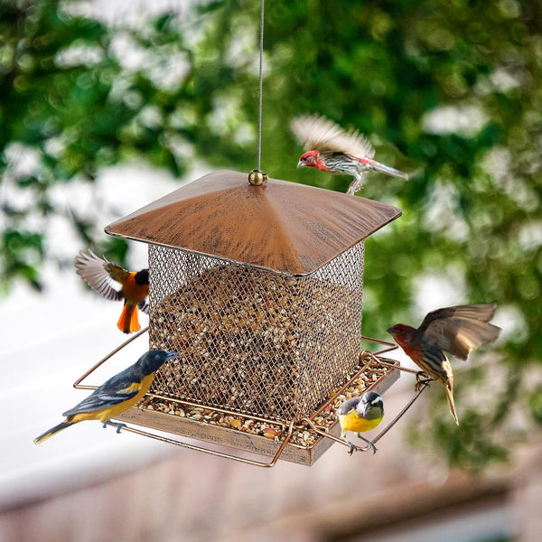 Bird Feeder, Heavy Duty Metal Bird Feeders for Outdoor Hanging, 3.5LB Large Capacity Wild Birdfeeder for Garden Yard outside Backyard