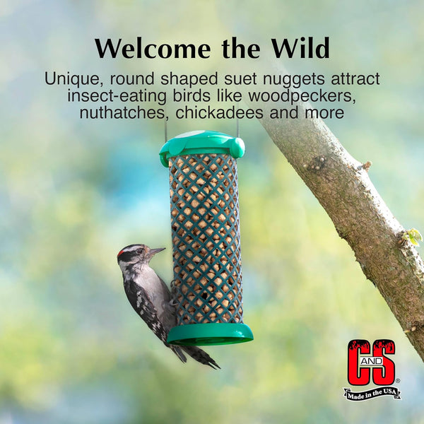 C&S Wild Bird Woodpecker Suet Nuggets Mega Box, 8 Pounds Woodpecker 8 Pound (Pack of 1)