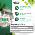 Amla Powder & Green Tea Superfood Supplement, 20x Ultra Concentrated Amla, Antioxidant Support, Made with Oolong Tea and Indian Gooseberries,