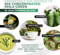 Amla Powder & Green Tea Superfood Supplement, 20x Ultra Concentrated Amla, Antioxidant Support, Made with Oolong Tea and Indian Gooseberries,