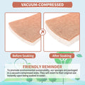 Natural Dish Sponge 24 Pack, Non-Scratch Scrub Sponge, Eco Multipurpose Kitchen Sisal Fiber Cellulose Sponge, Odor-Less Dual-Sided for Dish