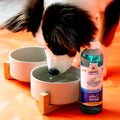 Nylabone Advanced Oral Care Pet Dental Water Additive, Liquid Tartar Remover & Breath Freshener for Dogs, Dog Teeth-Cleaning, Peppermint Flavor,