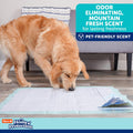 Hartz Home Protection Mountain Fresh Scented Dog Pads, XXL 20 Count, Super Absorbent & Won'T Leak, Odor Eliminating