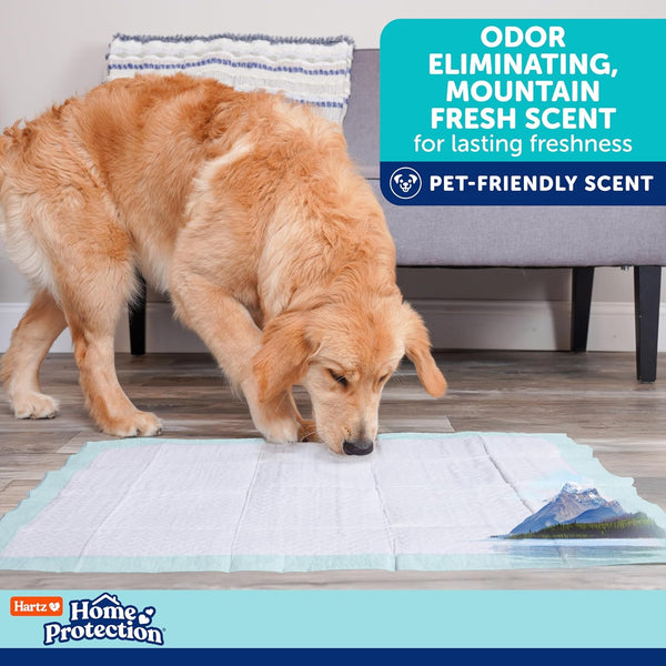 Hartz Home Protection Mountain Fresh Scented Dog Pads, XXL 20 Count, Super Absorbent & Won'T Leak, Odor Eliminating