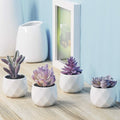 CADNLY Fake Succulent Plant Set - Artificial Desk Plants for Women Desk - Realistic Faux Succulents in Ceramic Pots - Mini Purple Decor for
