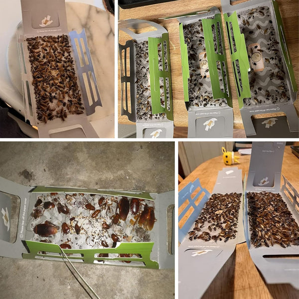 Roach Trap (20Pack) -Cockroach Traps Indoor with Bait,Roach Motel -Child Hild & Pet Friendly