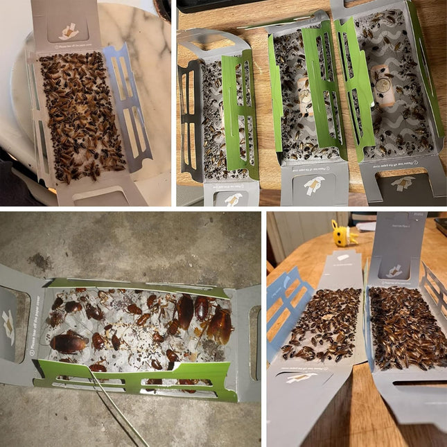 Roach Trap (20Pack) -Cockroach Traps Indoor with Bait,Roach Motel -Child Hild & 